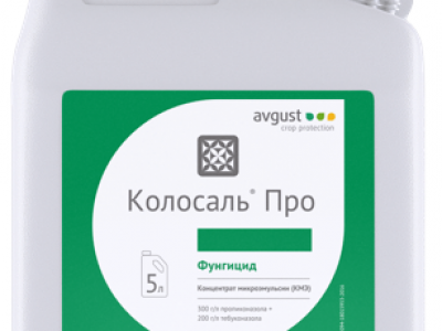 Колосаль Про
