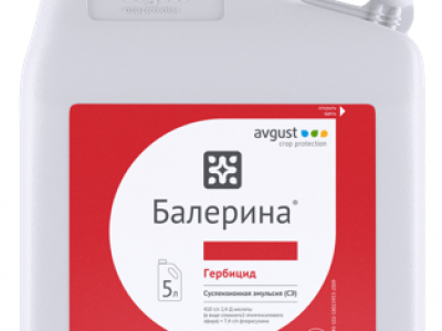 Балерина